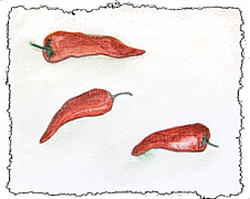 food art painting of redpeppers for chili recipes